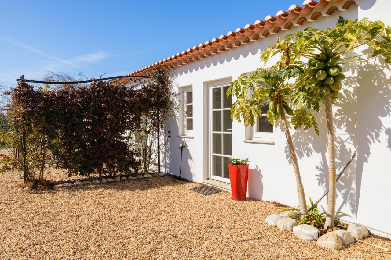 Gotas De Luar Turismo Rural Pensionat Vila Nova de Milfontes Exteriör bild