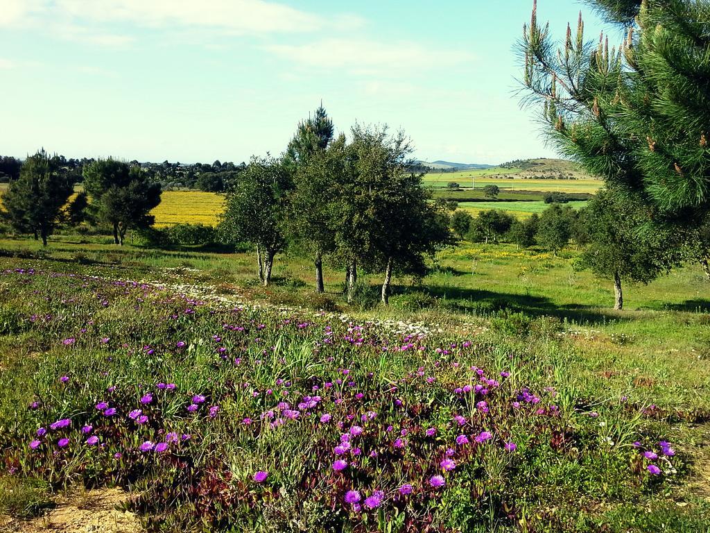 Gotas De Luar Turismo Rural Pensionat Vila Nova de Milfontes Exteriör bild
